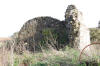 Isidoro 8
